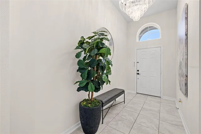 a potted plant sitting in front of a bathroom
