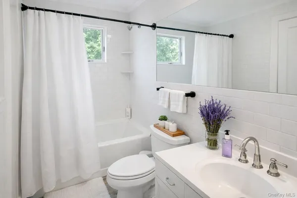 a bathroom with a sink a toilet and a bathtub