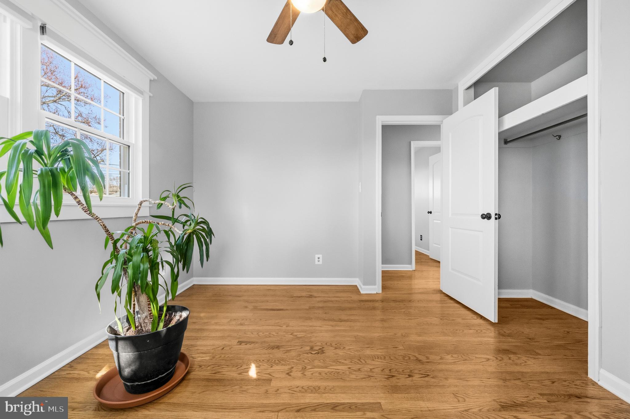 5404 Nutting Drive Springfield, VA 22151 - Photo 18 of 42