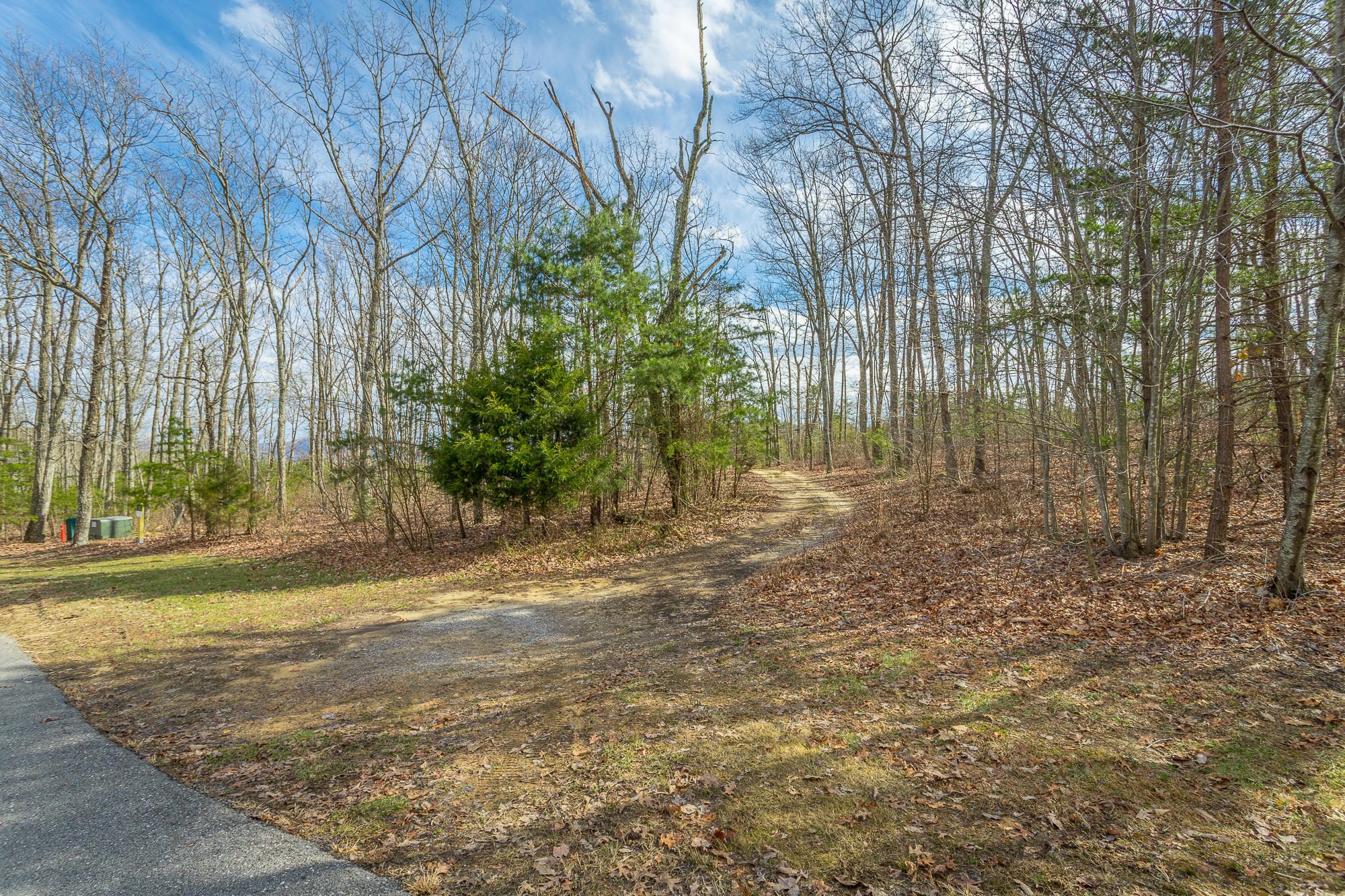 0 Rushing Water Trail, Unit A9 Rising Fawn, GA 30738 - Photo 12 of 58 Lot A-9 HD-4