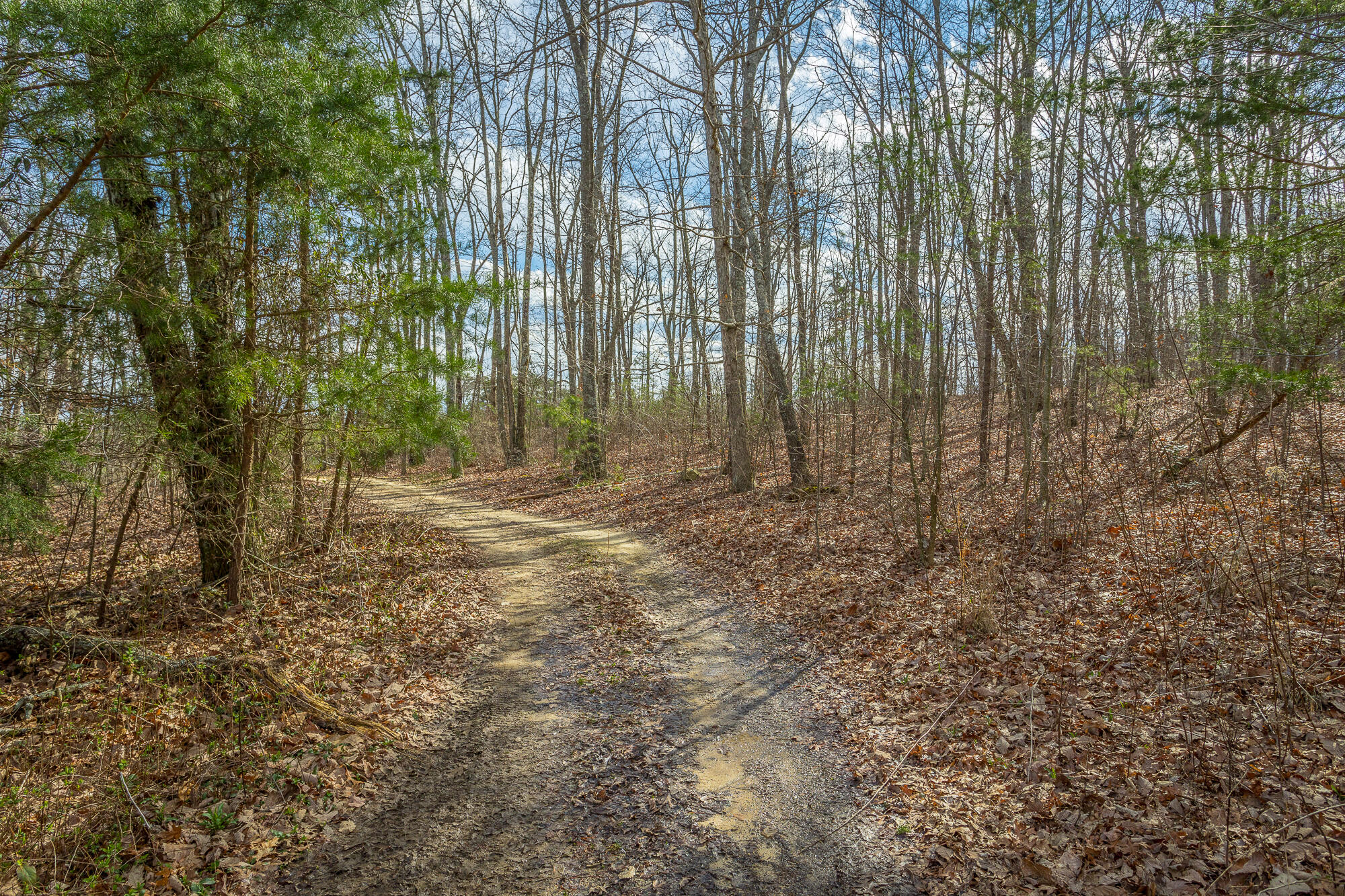 0 Rushing Water Trail, Unit A9 Rising Fawn, GA 30738 - Photo 14 of 58 Lot A-9 HD-6