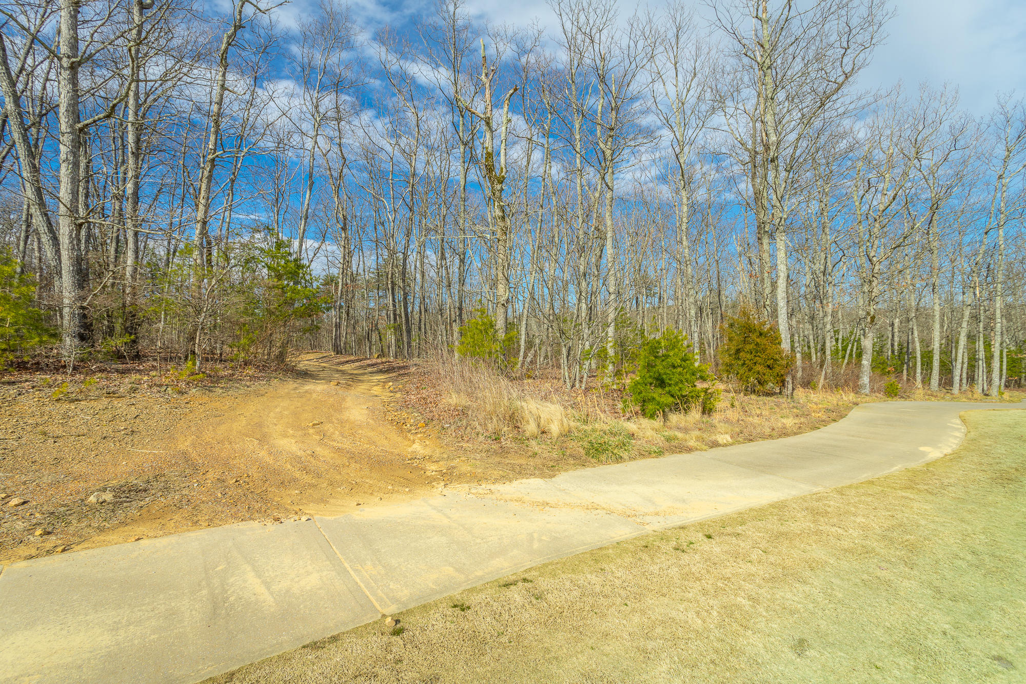 0 Rushing Water Trail, Unit A9 Rising Fawn, GA 30738 - Photo 20 of 58 Lot A-9 HD-12