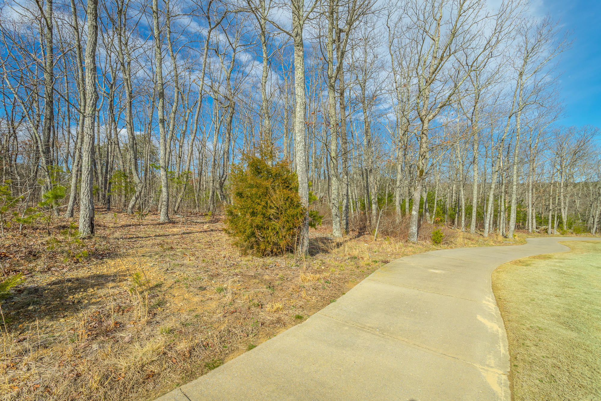 0 Rushing Water Trail, Unit A9 Rising Fawn, GA 30738 - Photo 21 of 58 Lot A-9 HD-13