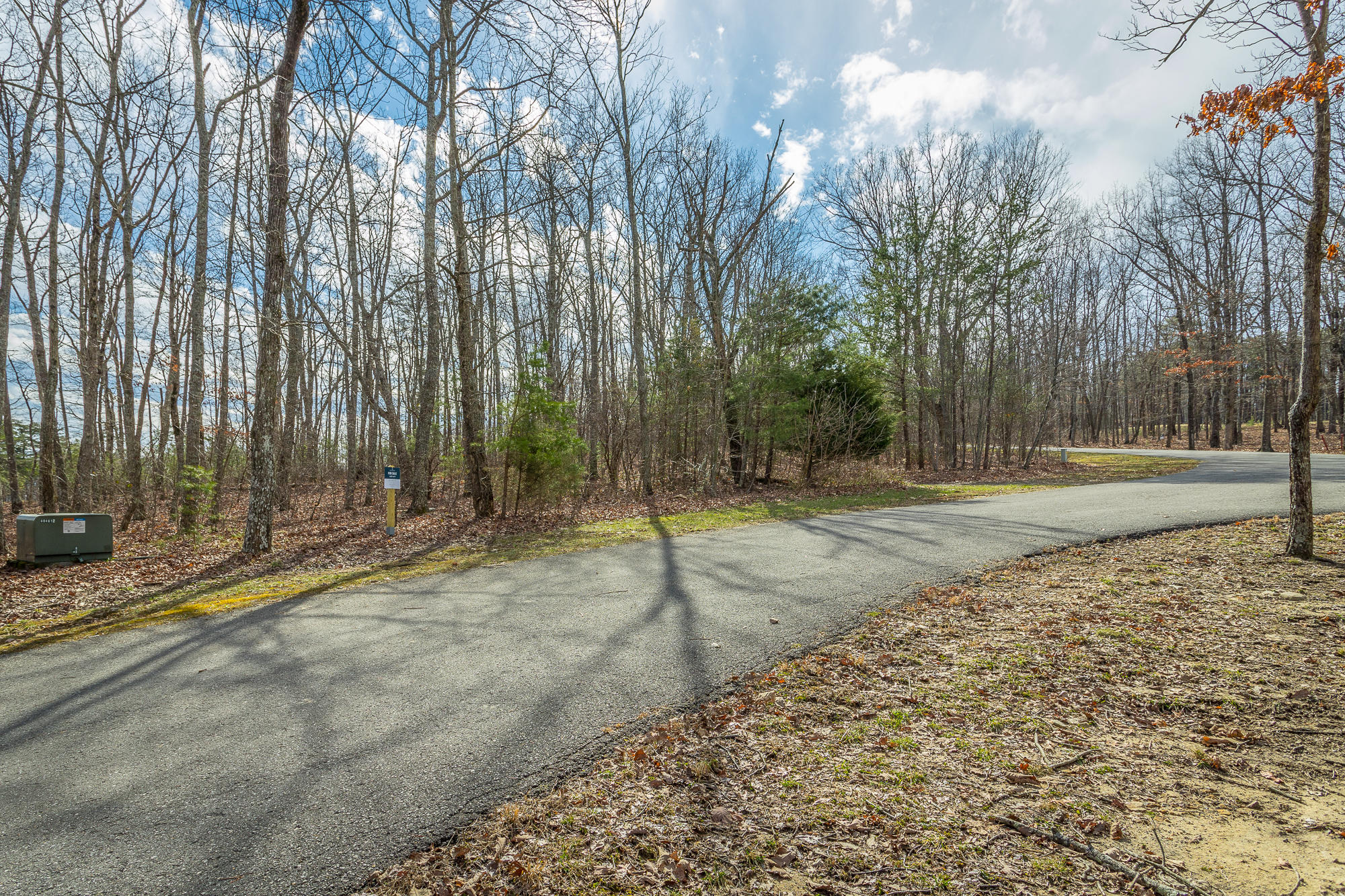 0 Rushing Water Trail, Unit A9 Rising Fawn, GA 30738 - Photo 10 of 58 Lot A-9 HD-1