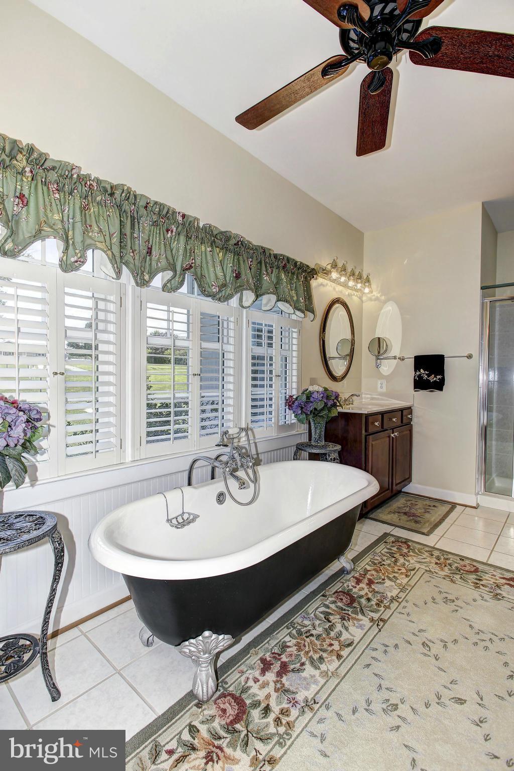 12435 Frederick Road West Friendship, MD 21794 - Photo 16 of 30 Bath (Master)