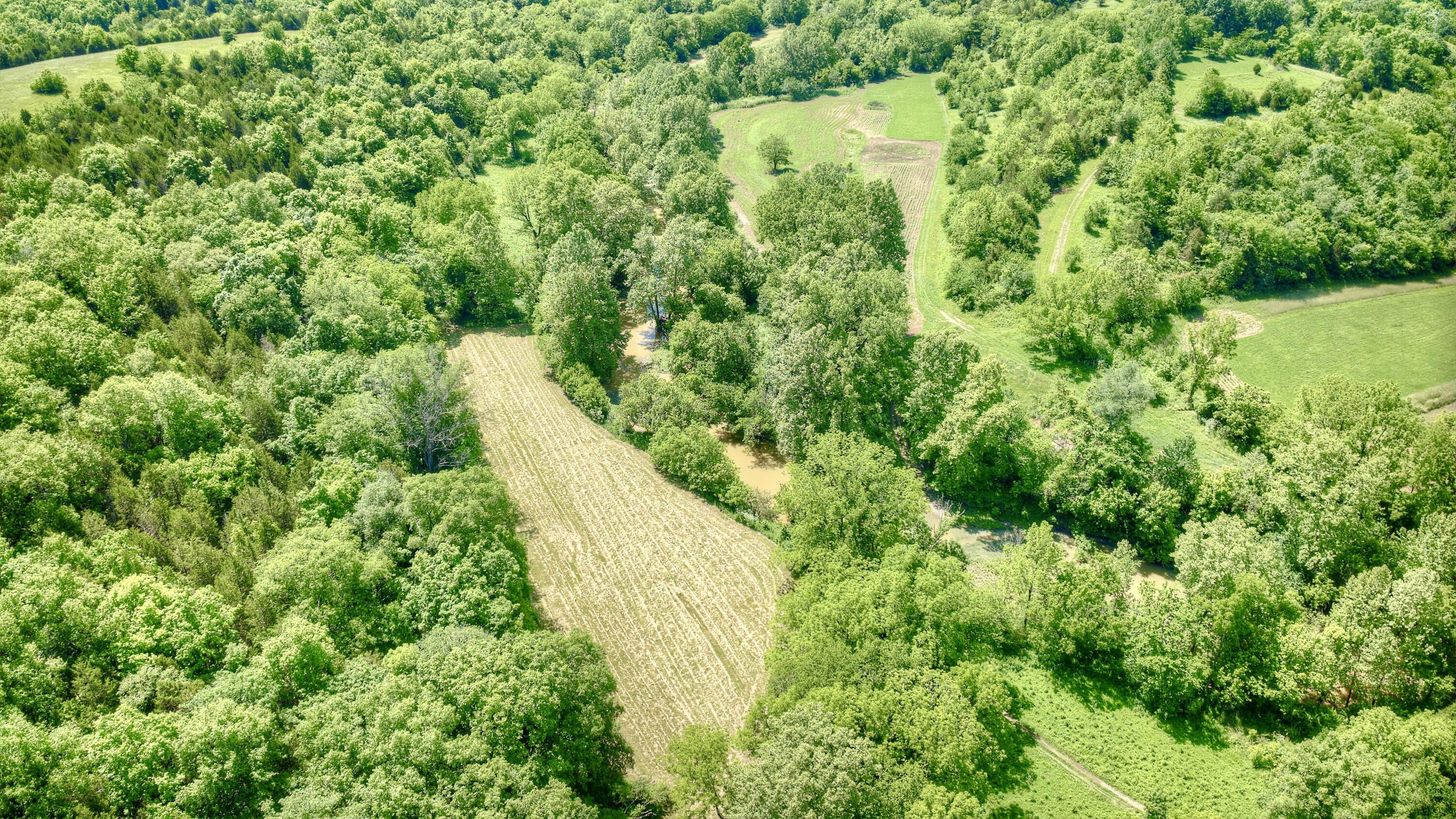 400 Clarks Cr Road Dry Ridge, KY 41035 - Photo 49 of 50