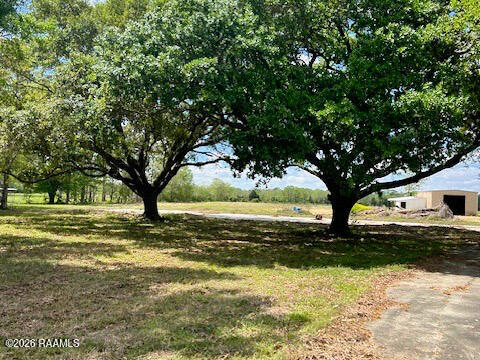 11628 Bamboo Road Abbeville, LA 70510 - Photo 3 of 3 Bamboo RD