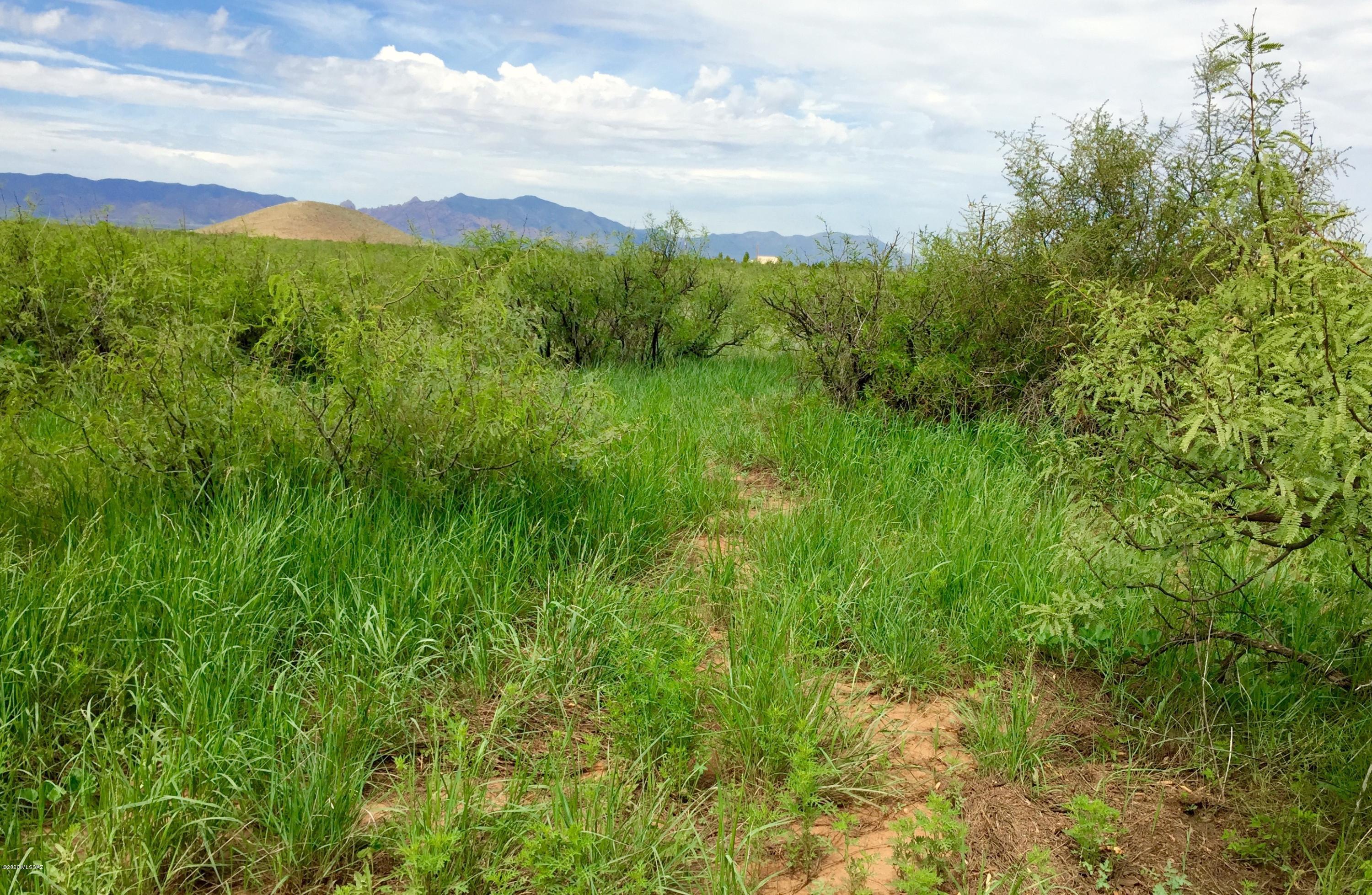 30-ac East Doe Ranch Road, Unit 56 Pearce, AZ 85625 - Photo 32 of 47