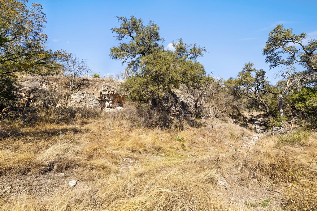 1101 Crider Road Marble Falls, TX 78654 - Photo 16 of 34 View of local wilderness
