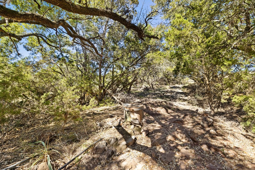 1101 Crider Road Marble Falls, TX 78654 - Photo 17 of 34 View of local wilderness