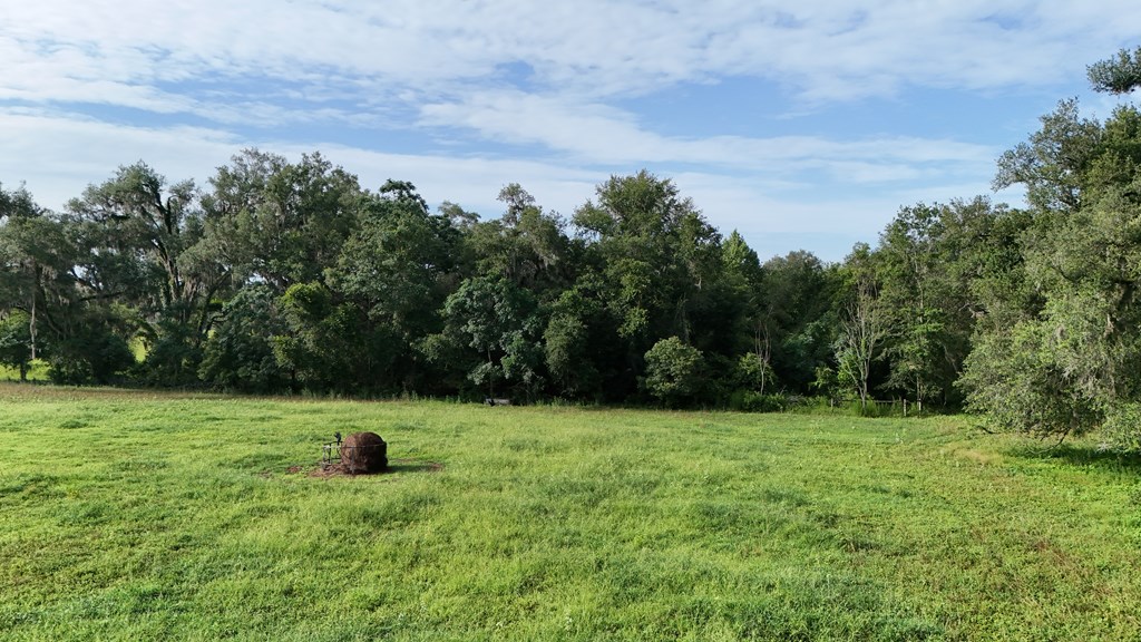 Vacant 145th Road Live Oak, FL 32060 - Photo 7 of 42
