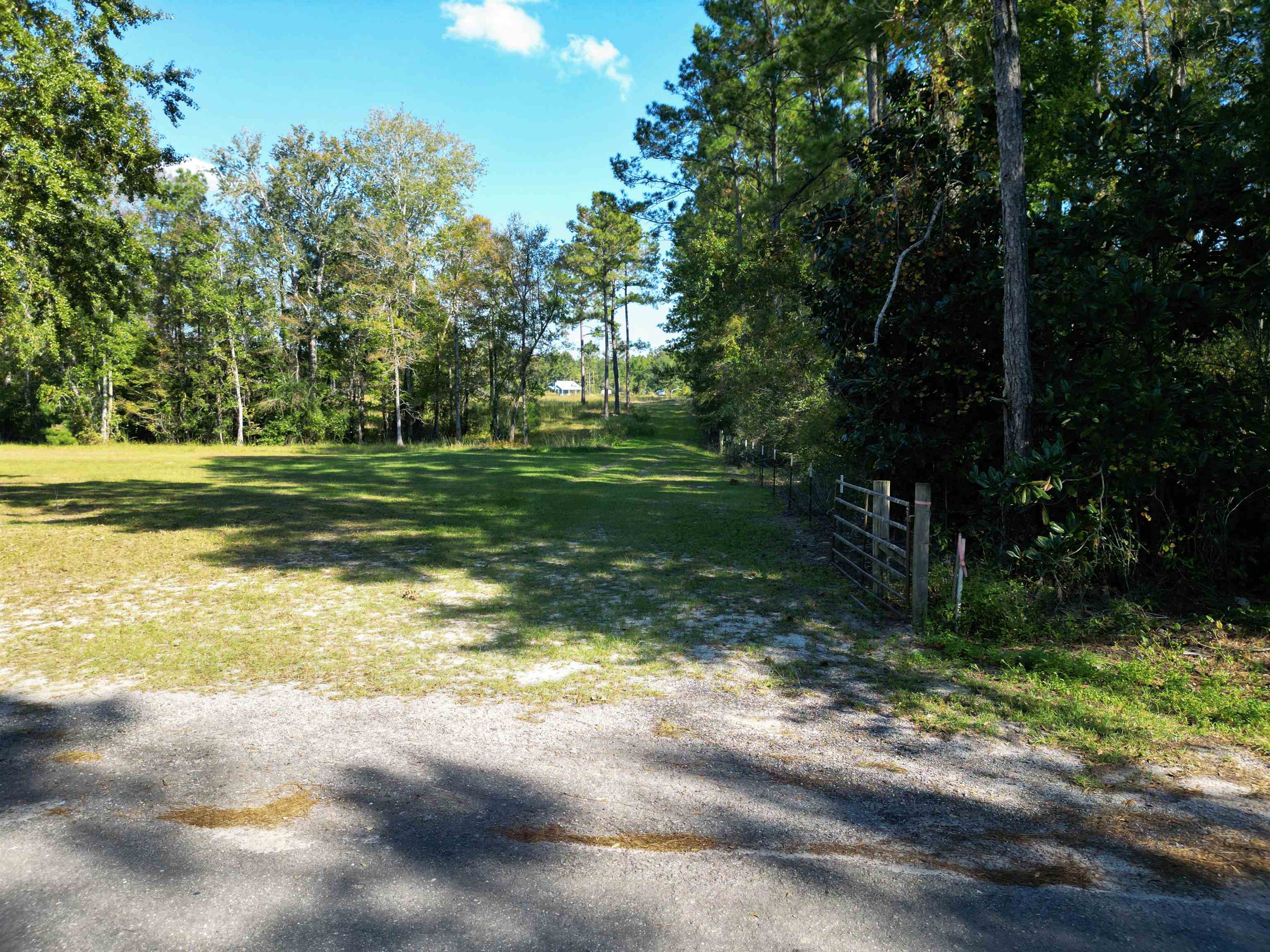 17752 Arnold Kelly Road Hosford, FL 32334 - Photo 8 of 12