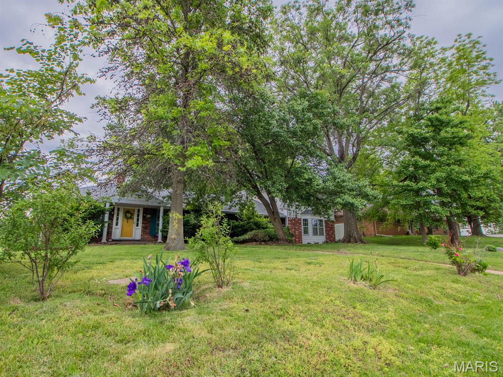 8700 South Laclede Station Road St. Louis, MO 63123 - Photo 3 of 62