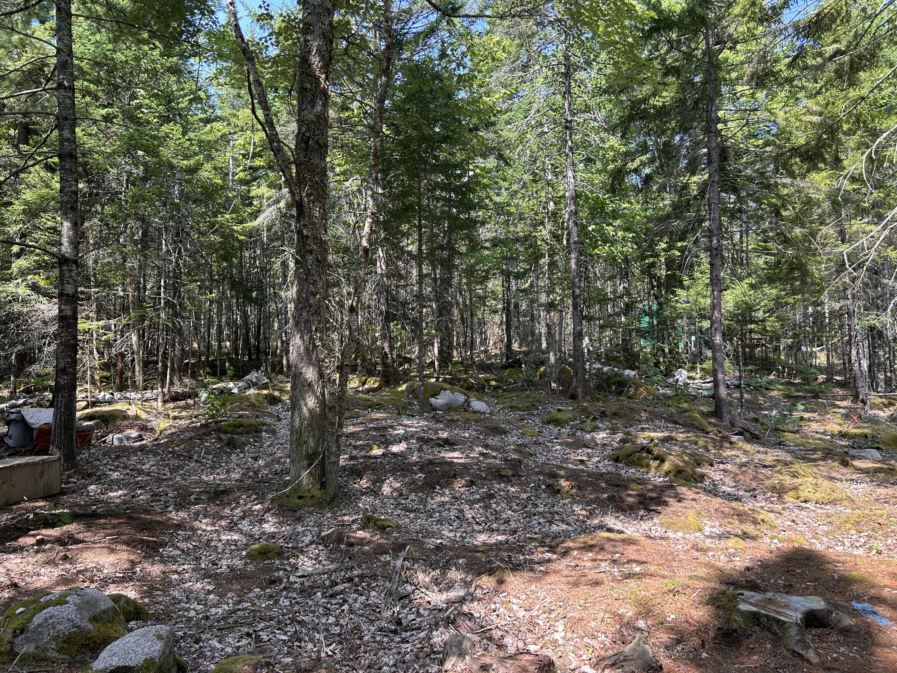 31 Sportsmen Lodge Road Marshfield, ME 04654 - Photo 11 of 35 IMG_5197