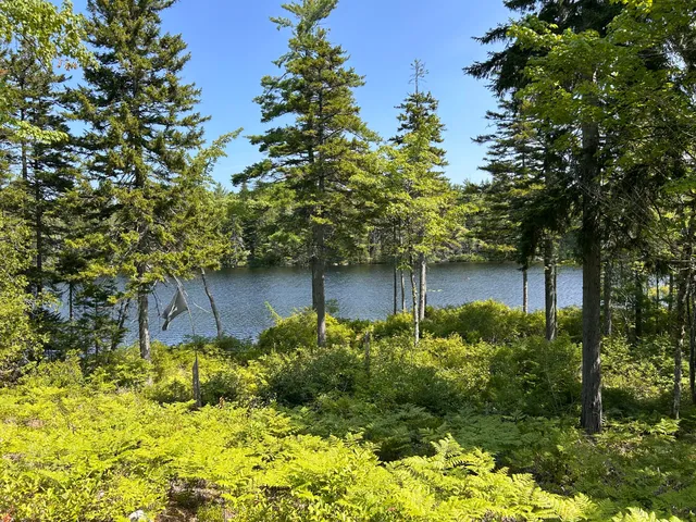 $189,000 | 31 Sportsmen Lodge Road, Marshfield, ME 04654