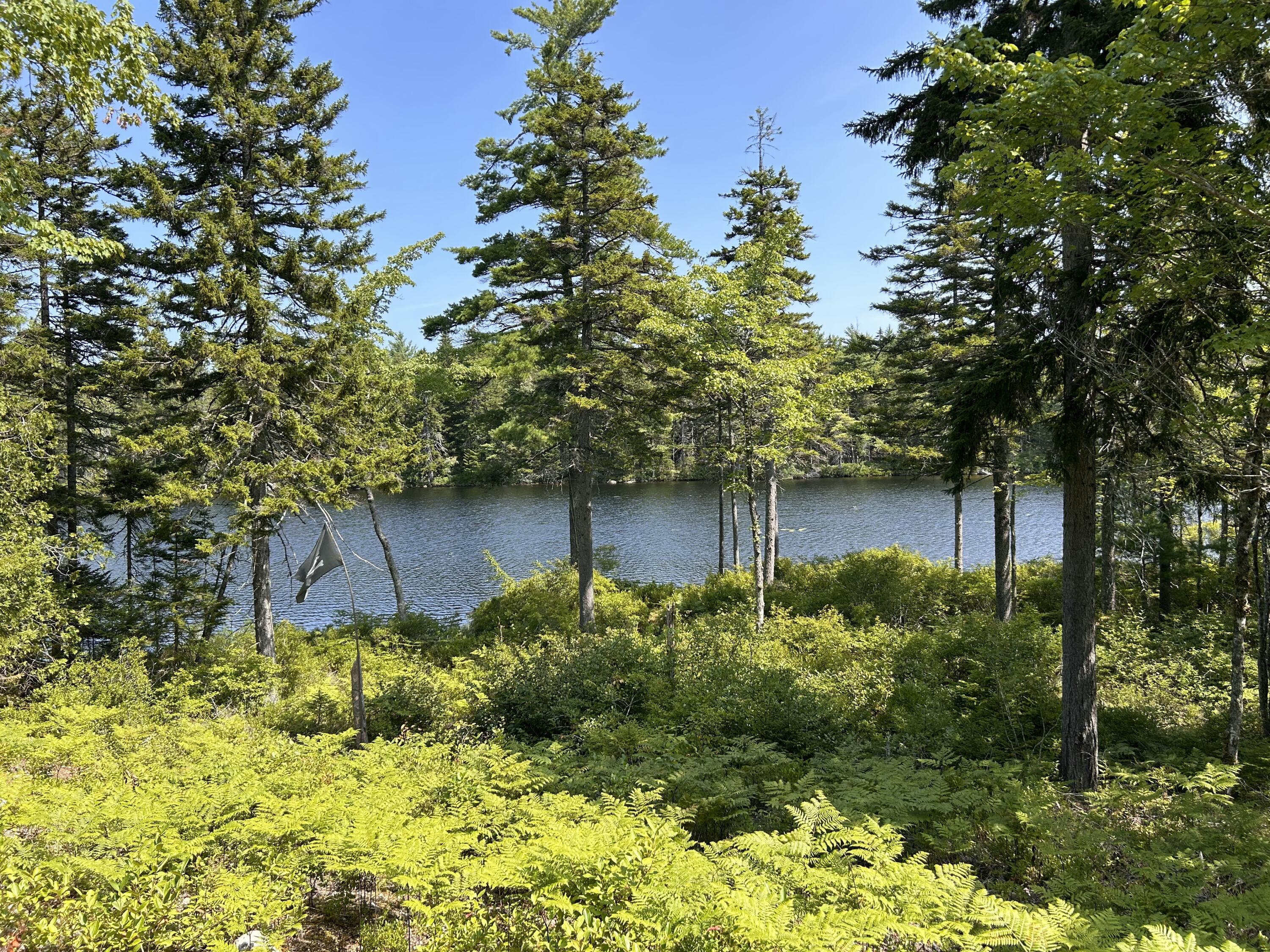31 Sportsmen Lodge Road Marshfield, ME 04654 - Photo 2 of 35 IMG_5199