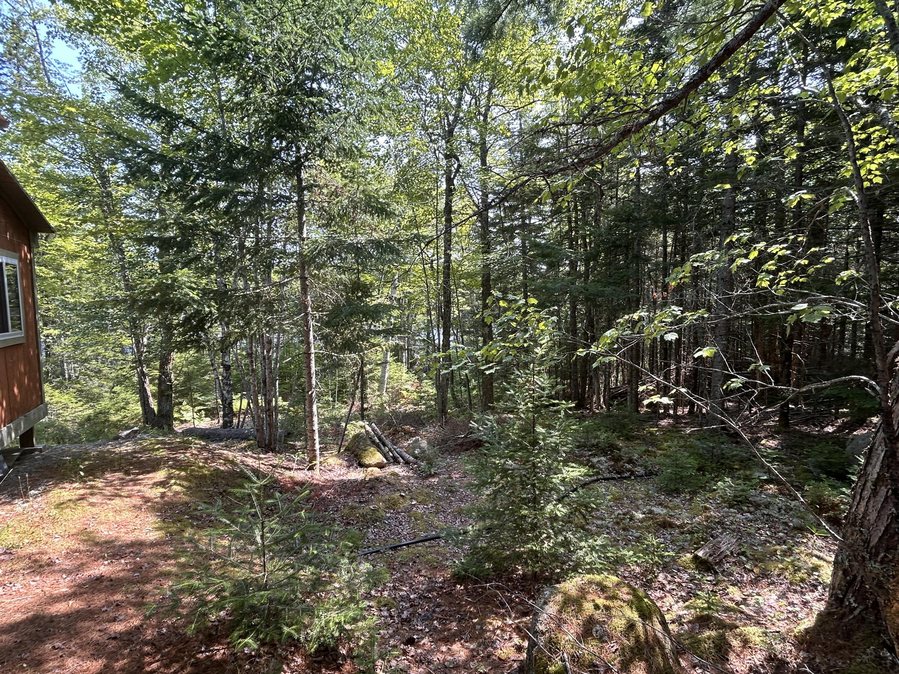 31 Sportsmen Lodge Road Marshfield, ME 04654 - Photo 32 of 35 IMG_5226