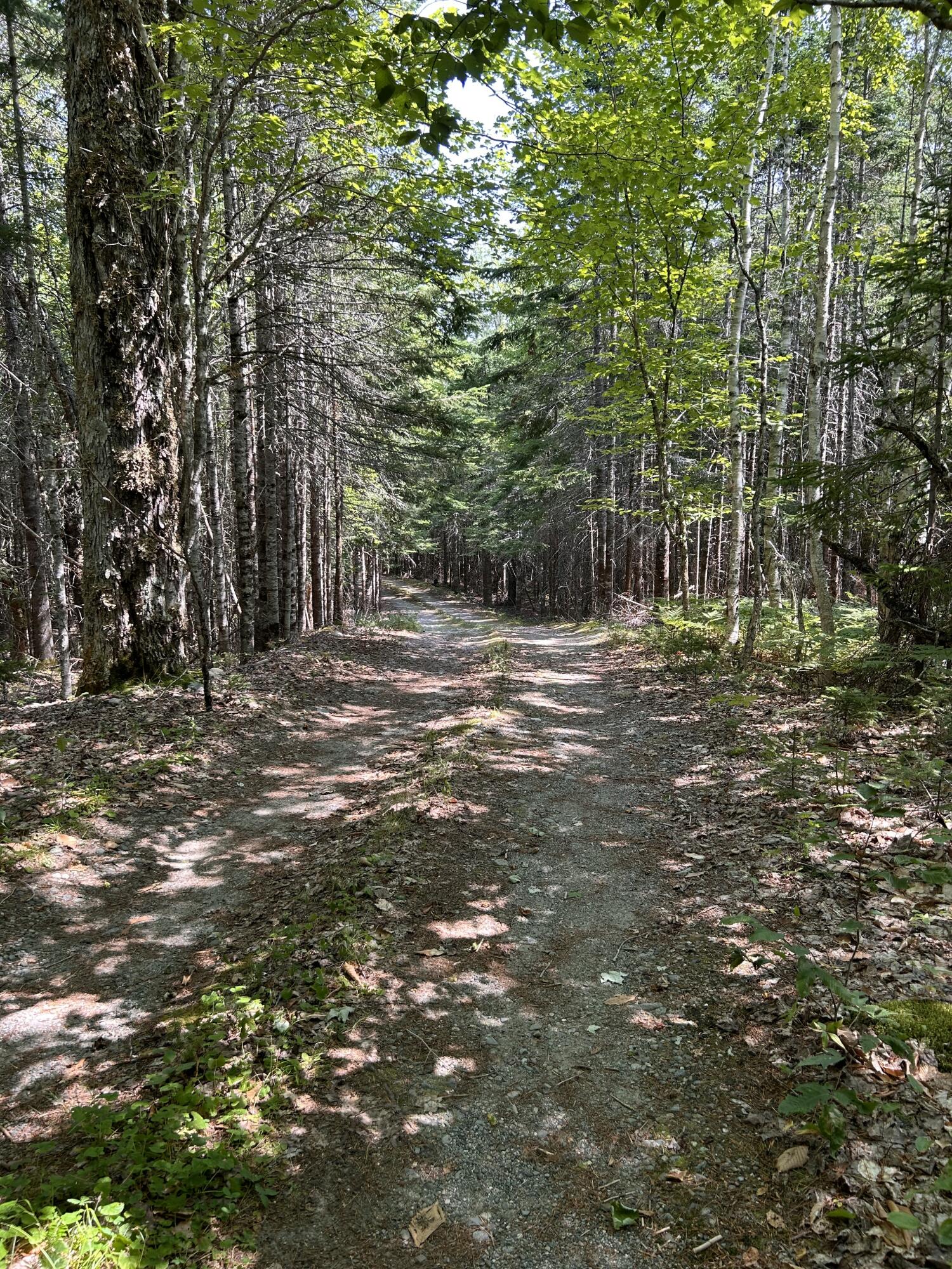31 Sportsmen Lodge Road Marshfield, ME 04654 - Photo 35 of 35 IMG_5229