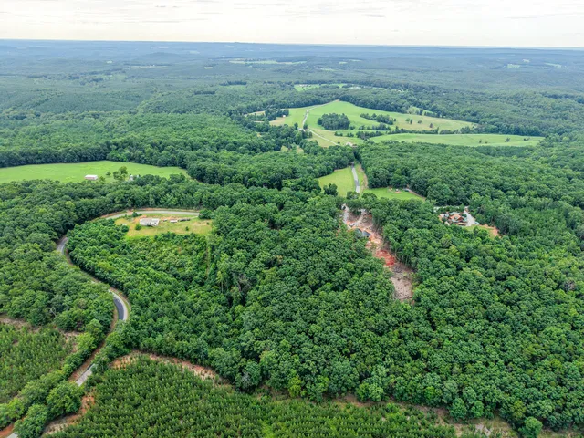 a view of a lush green forest with lush green forest