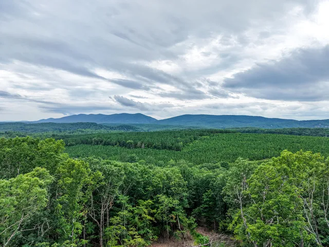 a view of a city with lush green forest