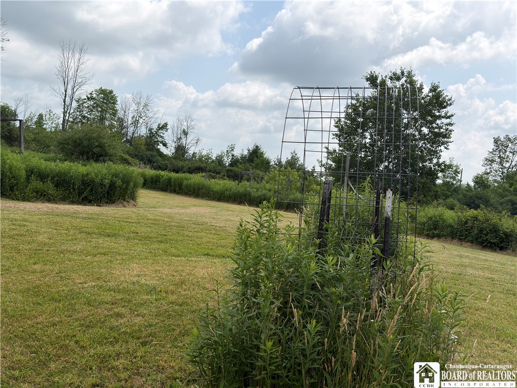 2751 Canfield Road Cohocton, NY 14826 - Photo 49 of 50