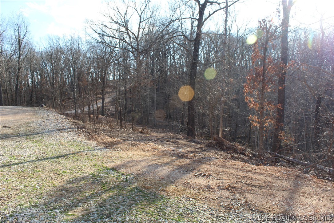 30932 Blackbird Road Stover, MO 65078 - Photo 25 of 53 Farther down the driveway looking at the road