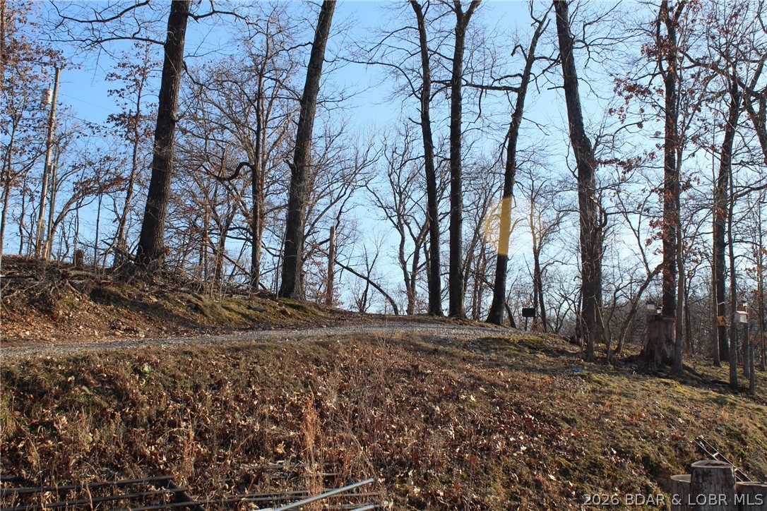 30932 Blackbird Road Stover, MO 65078 - Photo 31 of 53 Side-by-side path to get the other side of garage