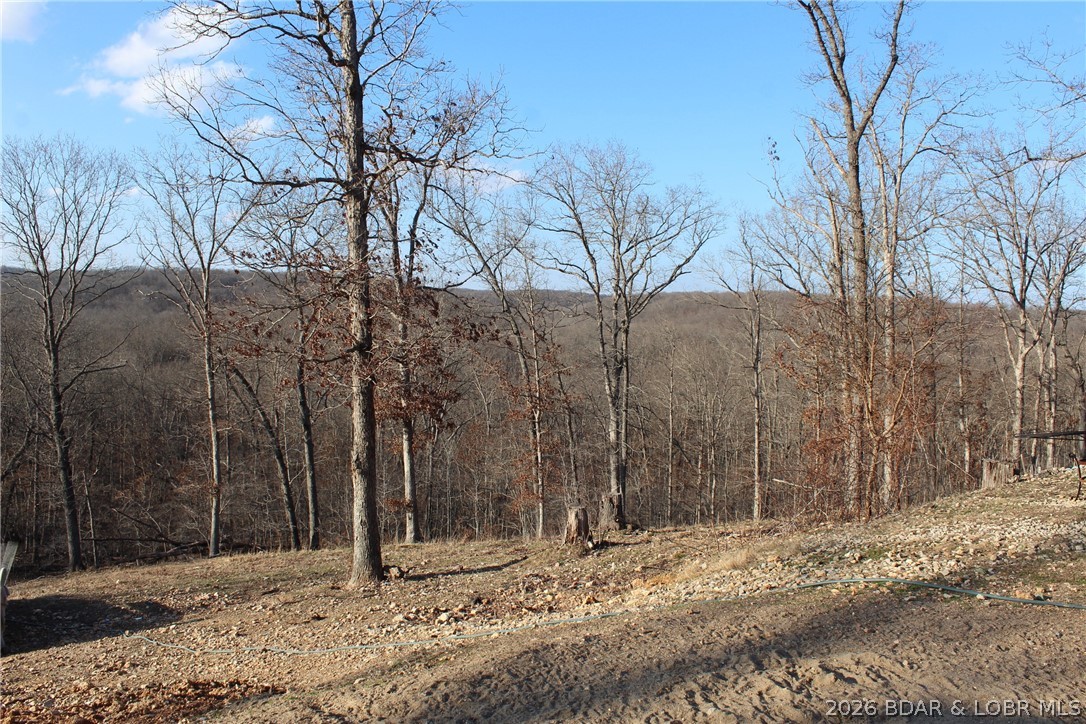 30932 Blackbird Road Stover, MO 65078 - Photo 34 of 53