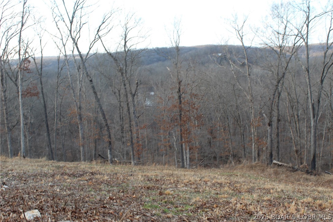 30932 Blackbird Road Stover, MO 65078 - Photo 35 of 53 Top of the hill views