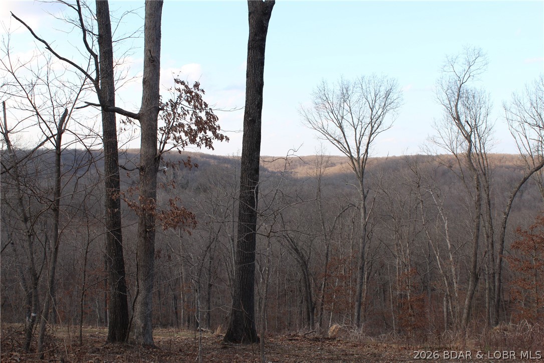 30932 Blackbird Road Stover, MO 65078 - Photo 36 of 53