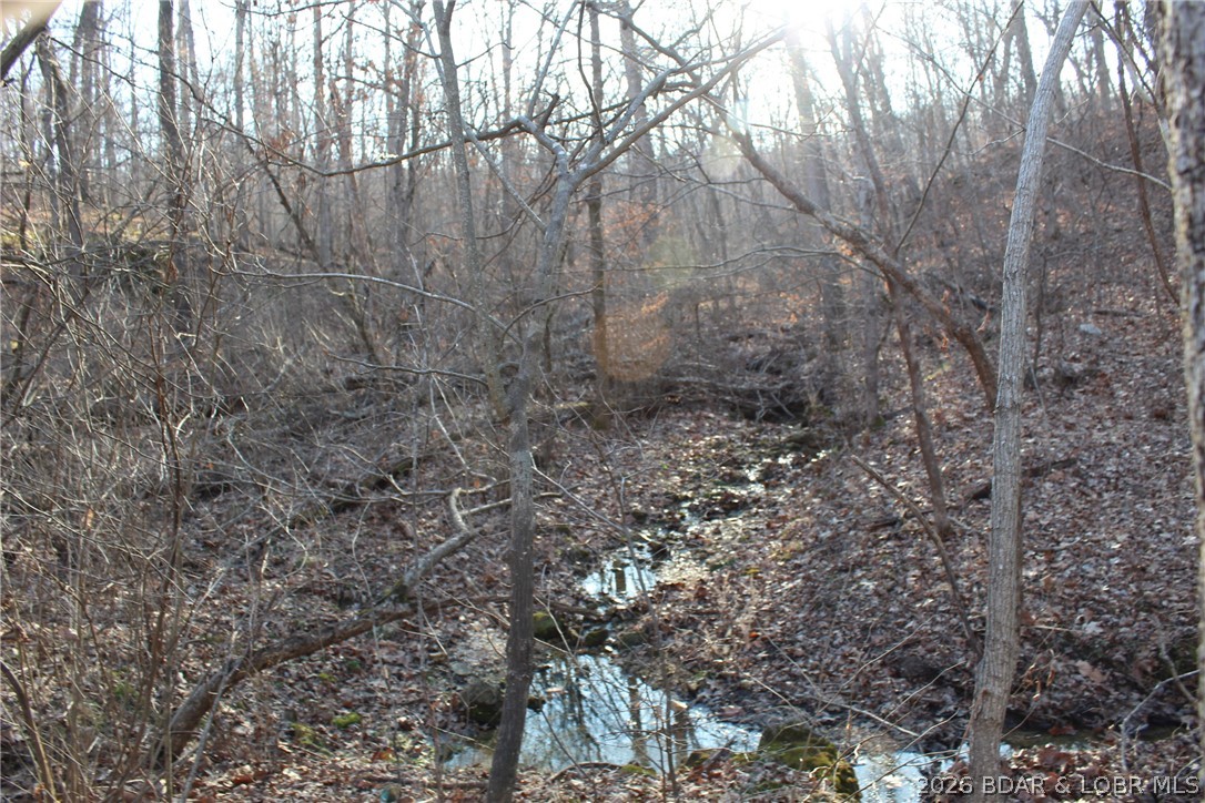 30932 Blackbird Road Stover, MO 65078 - Photo 38 of 53 Wet weathered creek
