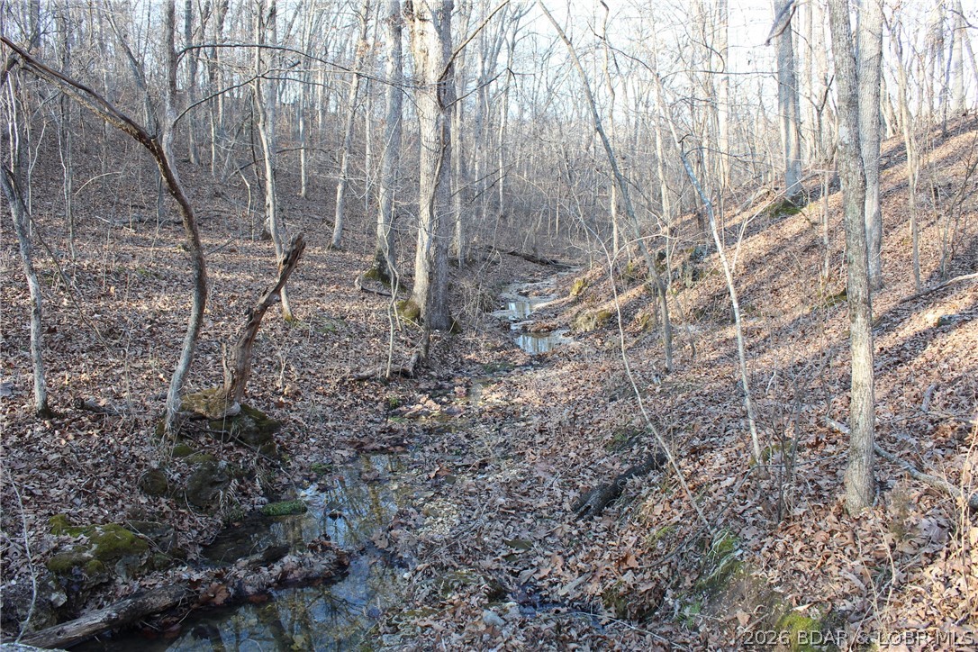 30932 Blackbird Road Stover, MO 65078 - Photo 39 of 53 Creek runs along the backside of the property