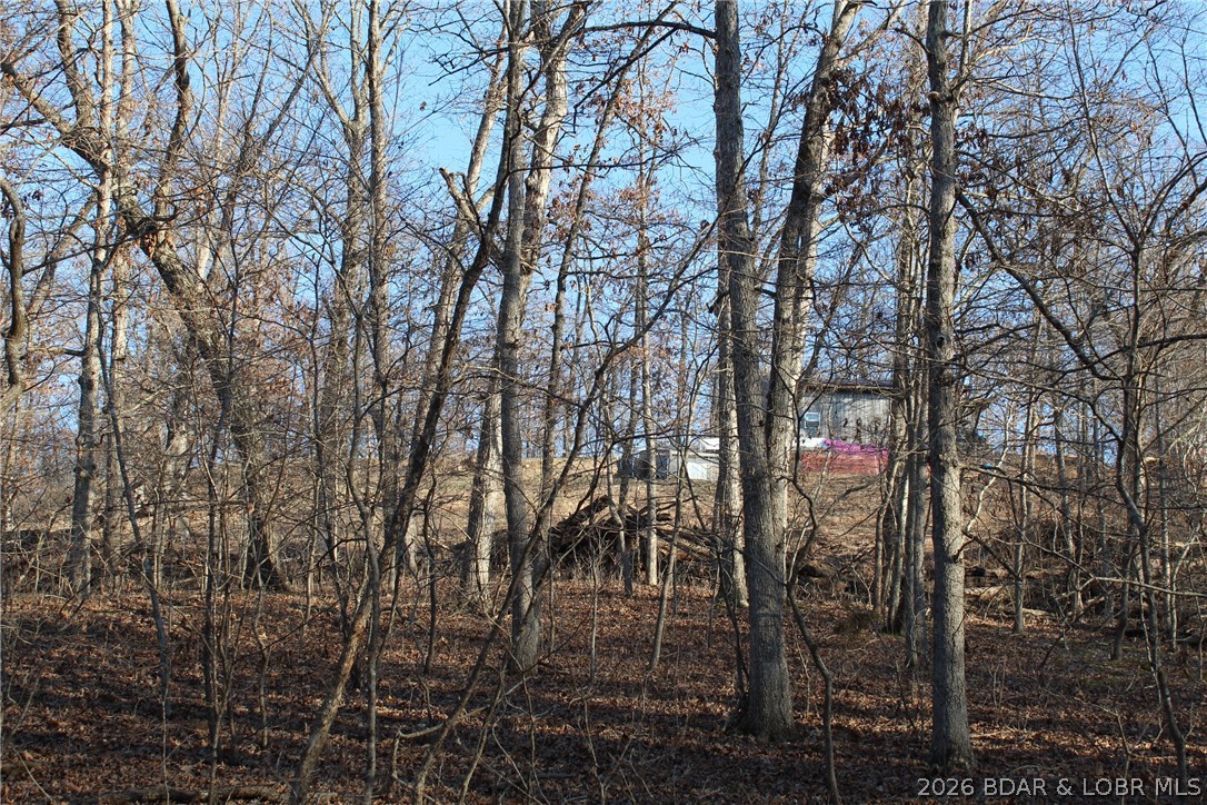 30932 Blackbird Road Stover, MO 65078 - Photo 41 of 53