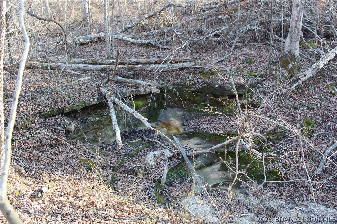 30932 Blackbird Road Stover, MO 65078 - Photo 42 of 53 Beautiful exposed rock