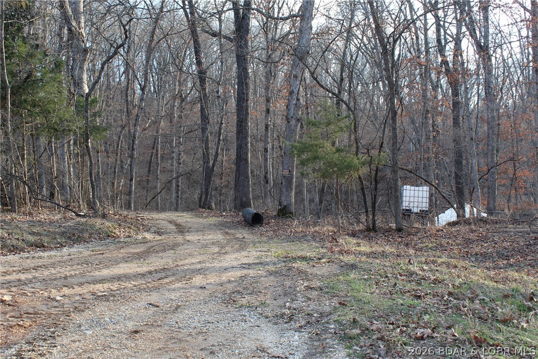 30932 Blackbird Road Stover, MO 65078 - Photo 51 of 53 The driveway for the yurt