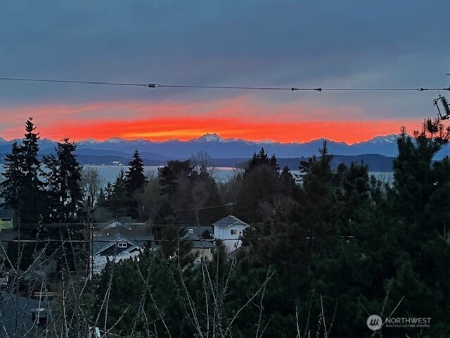 5320 47th Avenue Southwest Seattle, WA 98136 - Photo 35 of 39