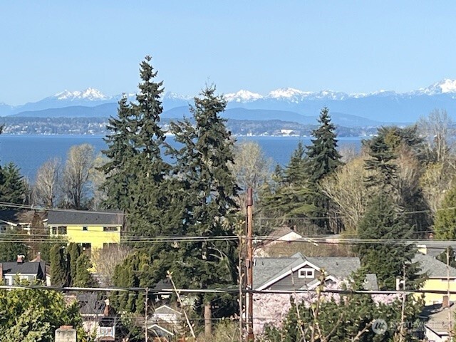 5320 47th Avenue Southwest Seattle, WA 98136 - Photo 5 of 39