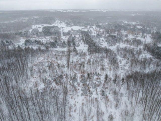Tbd Traverse Road Thompsonville, MI 49683 - Photo 36 of 40