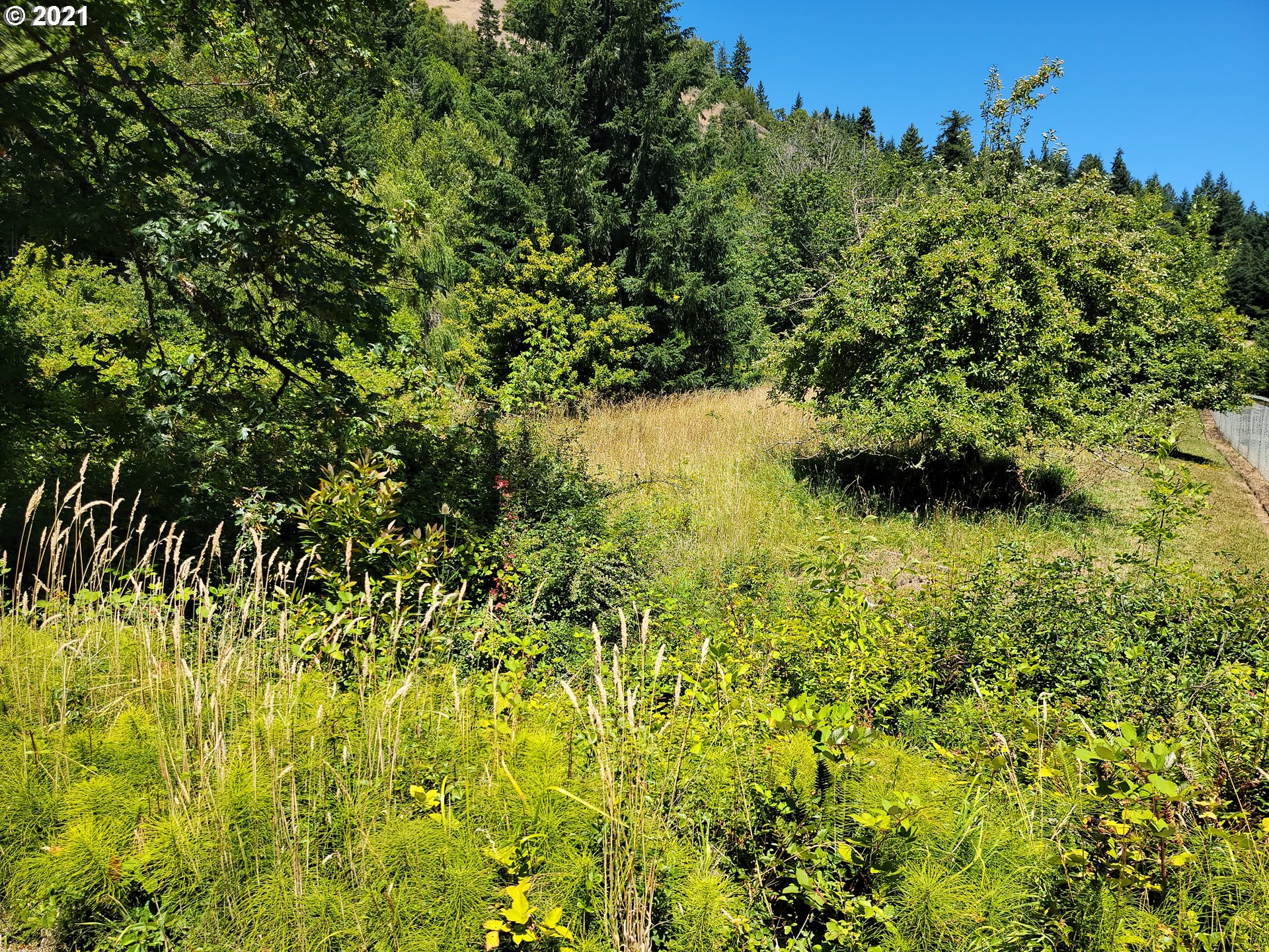 0 Big Creek Road Myrtle Point, OR 97458 - Photo 14 of 14 a view of a garden