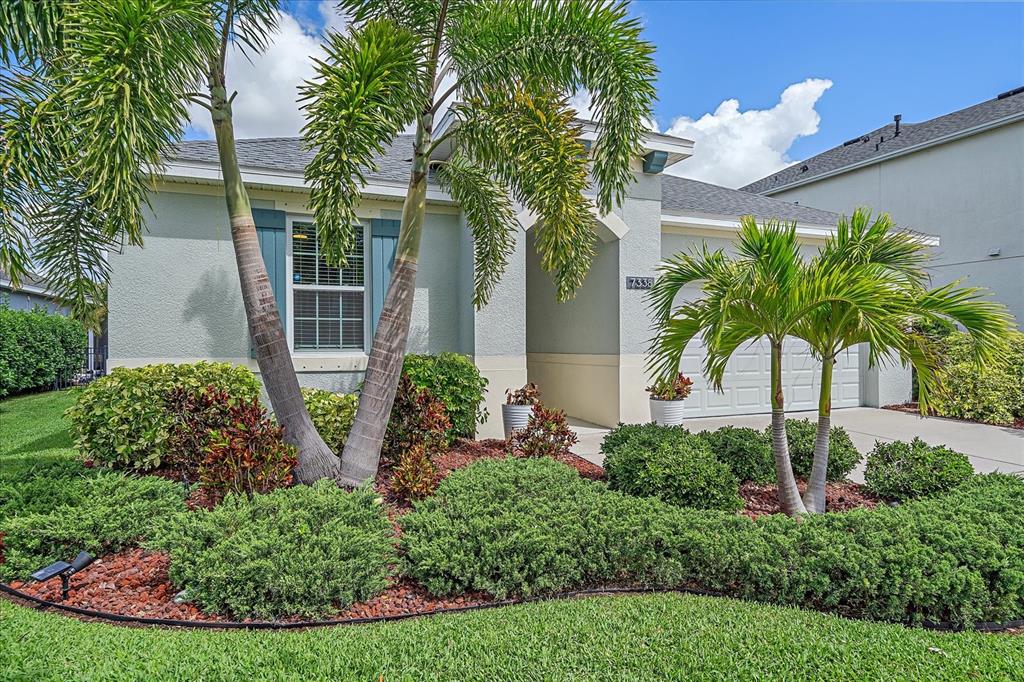 a view of a garden with plants