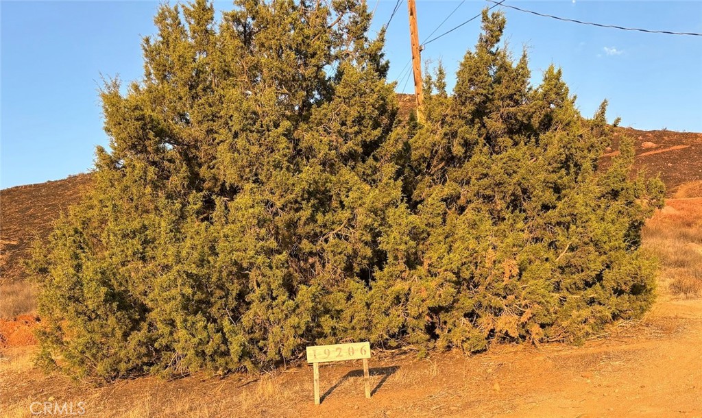 0 Niro Road Perris, CA 92570 - Photo 20 of 40 a view of a yard
