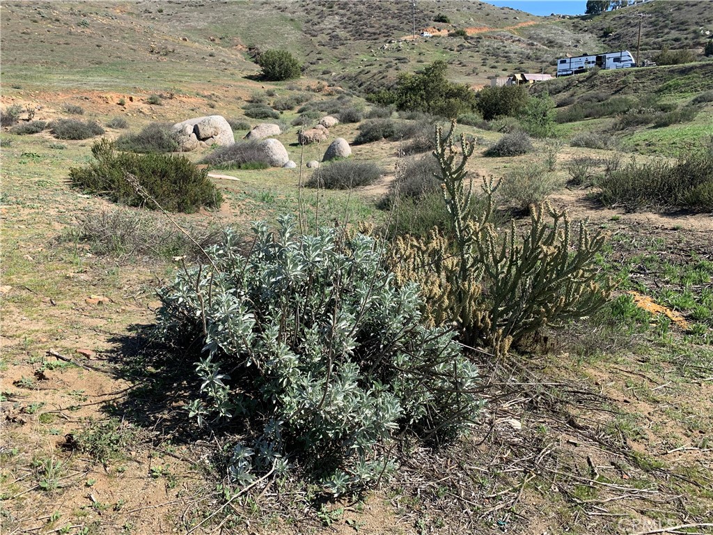 0 Niro Road Perris, CA 92570 - Photo 31 of 40 a view of a bunch of trees