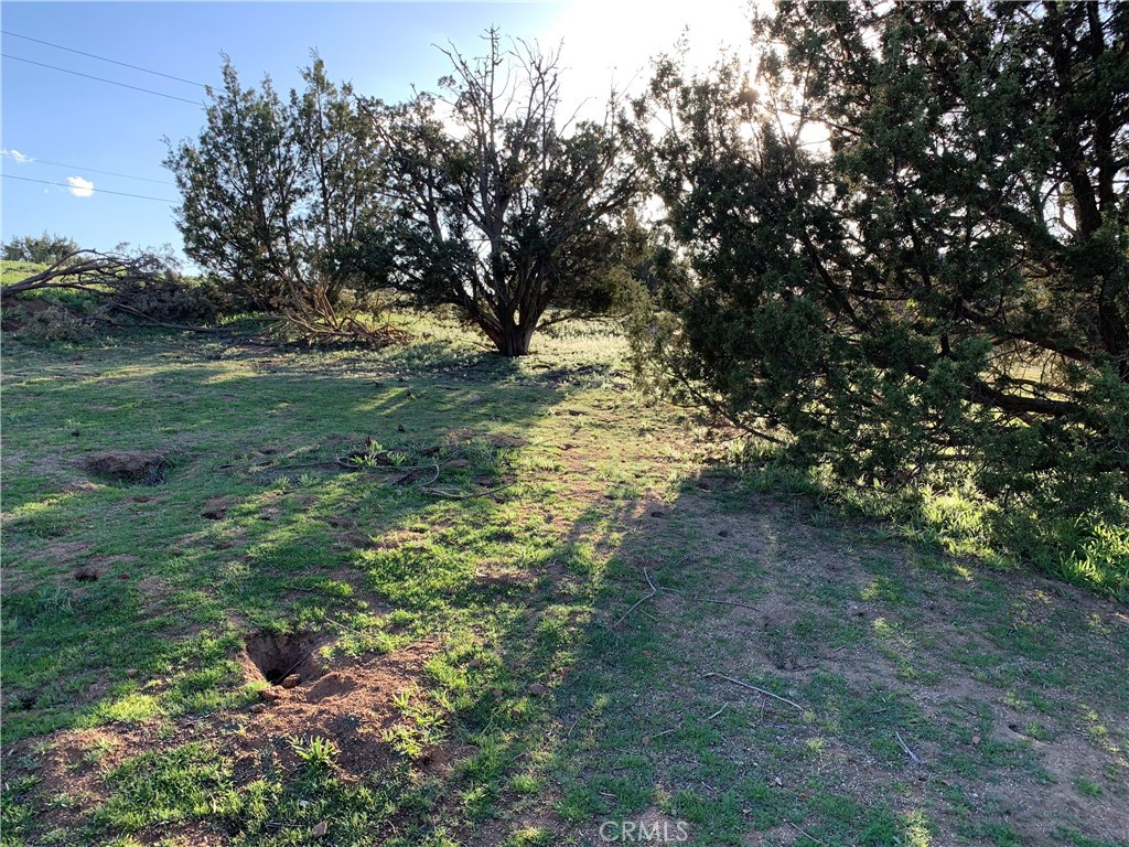 0 Niro Road Perris, CA 92570 - Photo 32 of 40 a backyard of a house with lots of green space