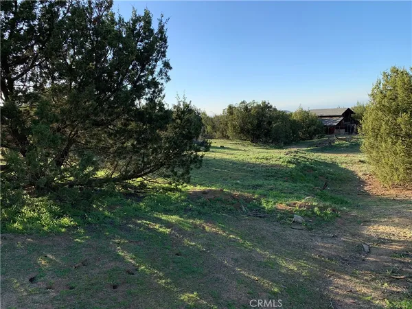 a view of a field