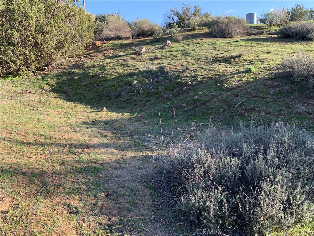 0 Niro Road Perris, CA 92570 - Photo 36 of 40 a view of a lake with beach and large trees