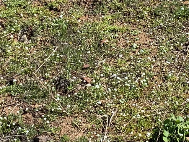 $595,000 | 0 Niro Road, Perris, CA 92570