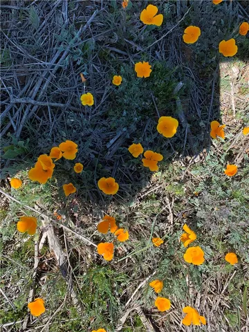 $595,000 | 0 Niro Road, Perris, CA 92570