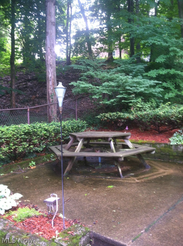 3570 Woodridge Road Cleveland Heights, OH 44121 - Photo 22 of 24 A great outdoors.