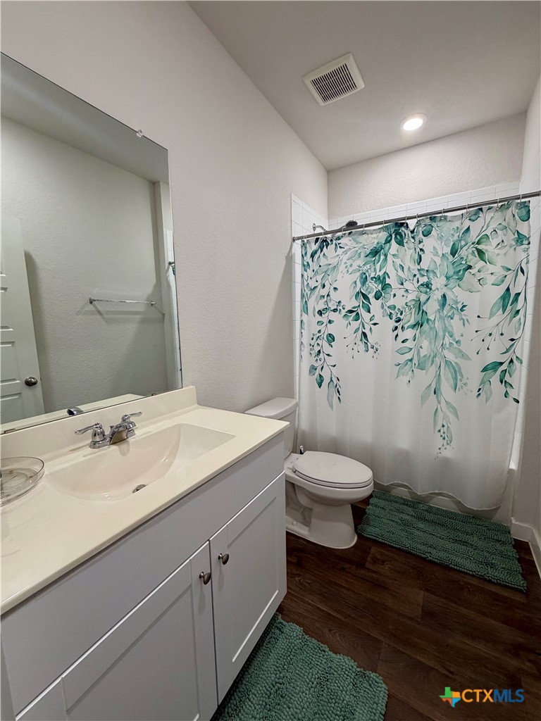 115 Rosa Road San Marcos, TX 78666 - Photo 10 of 23
