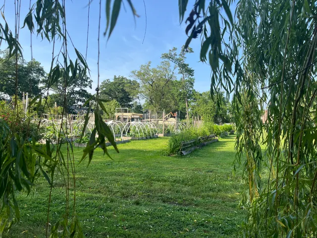 a view of yard with green space